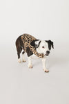 Leopard Stripe