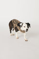 Leopard Stripe