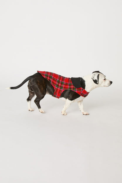 Trina Turk Dog Pajama - Christmas Plaid