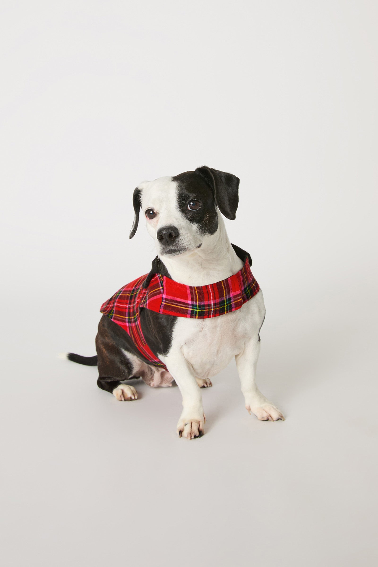 Trina Turk Dog Pajama - Christmas Plaid