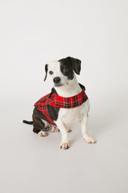 Trina Turk Dog Pajama - Christmas Plaid