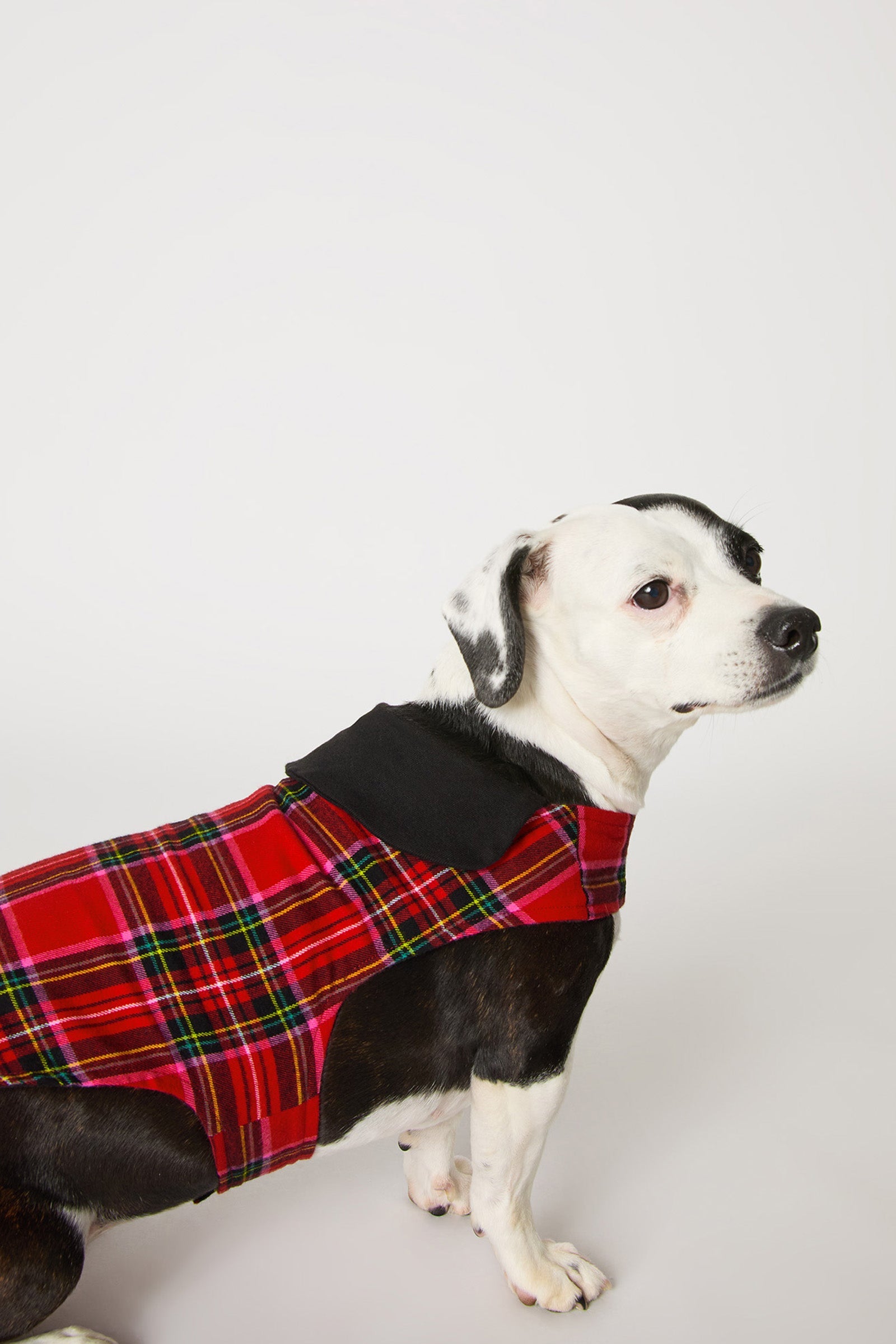 Trina Turk Dog Pajama - Christmas Plaid