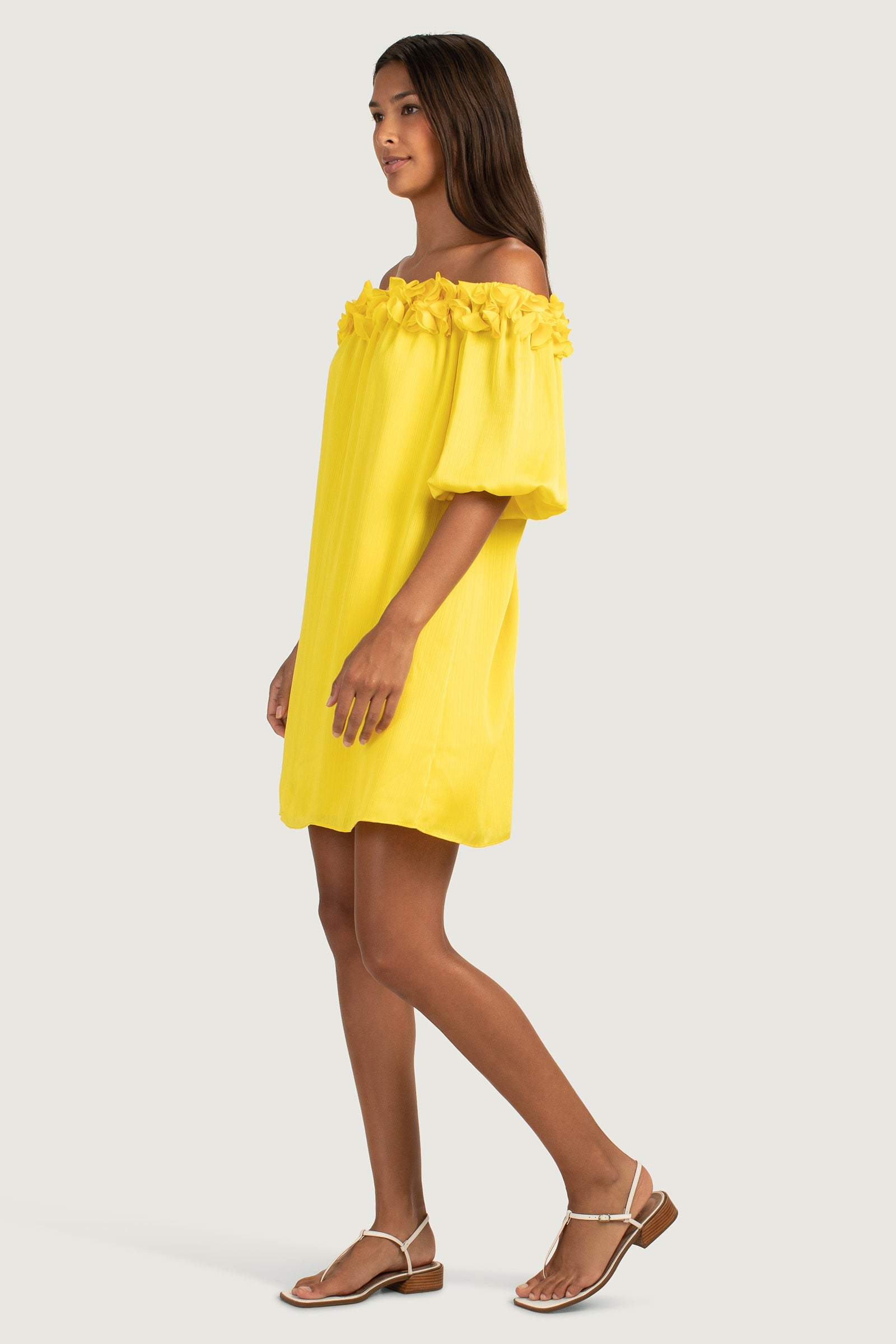 Trina Turk Gateway Dress