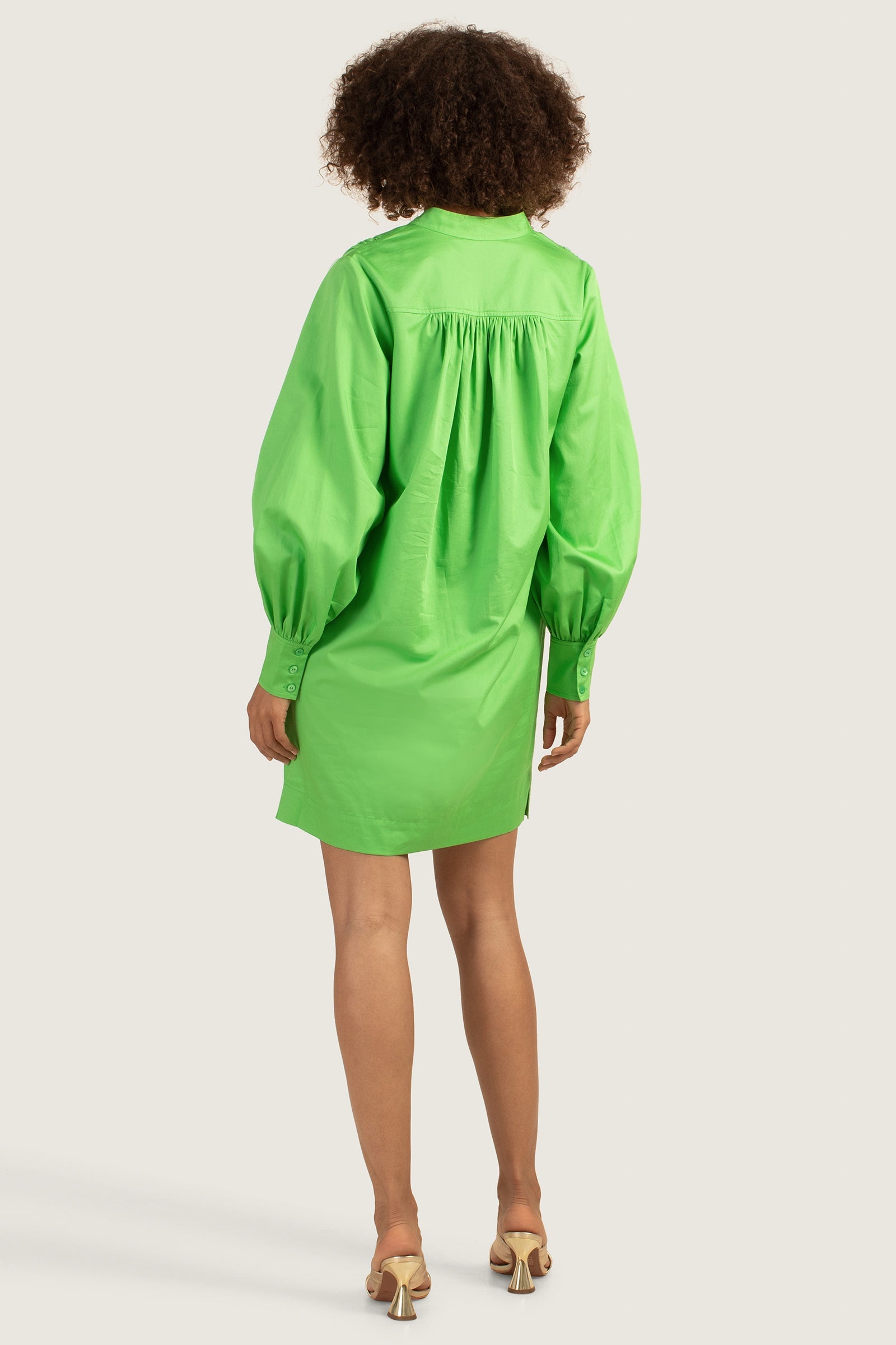 Trina Turk Blush Dress